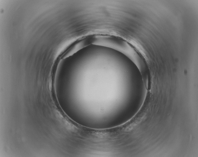 X0000089700888200706211315