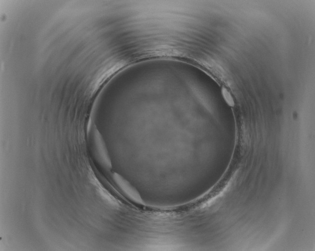 X0000089700889200706211315