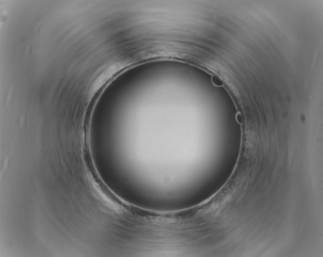 X0000089700890200706211315