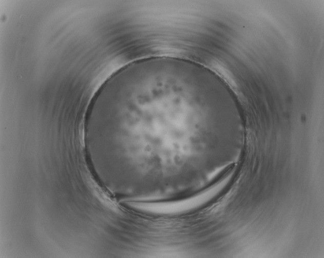 X0000089700891200706211315