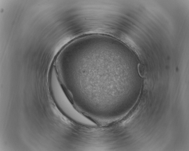 X0000089700892200706211315