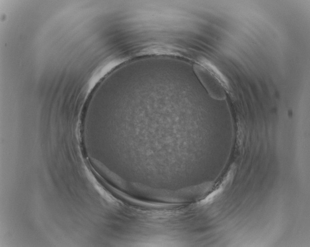 X0000089700893200706211315