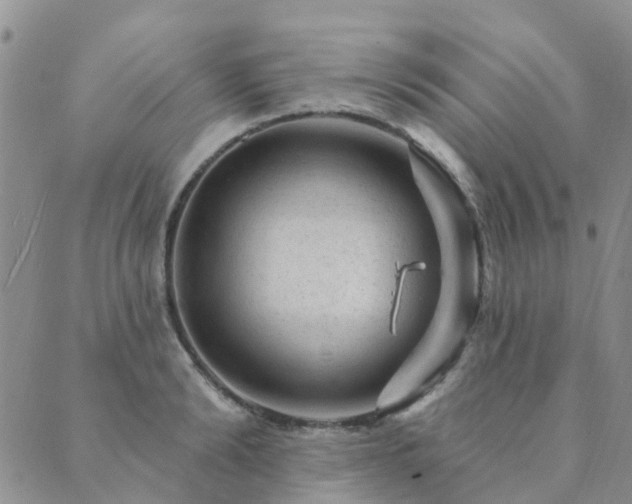 X0000089700894200706211315