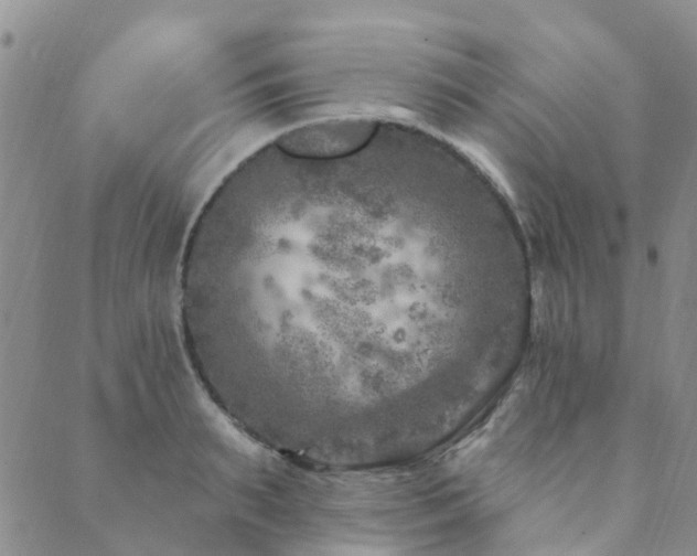 X0000089700895200706211315