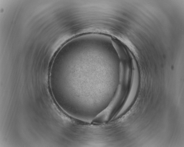 X0000089700896200706211315