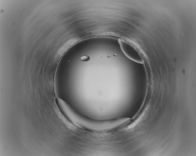 X0000089700897200706211315