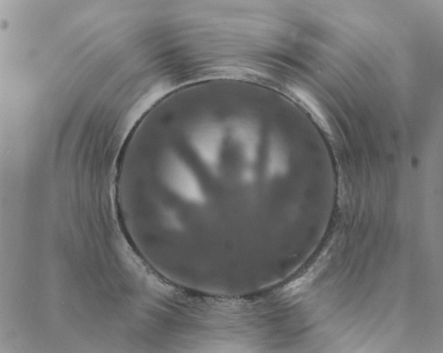 X0000089700899200706211315