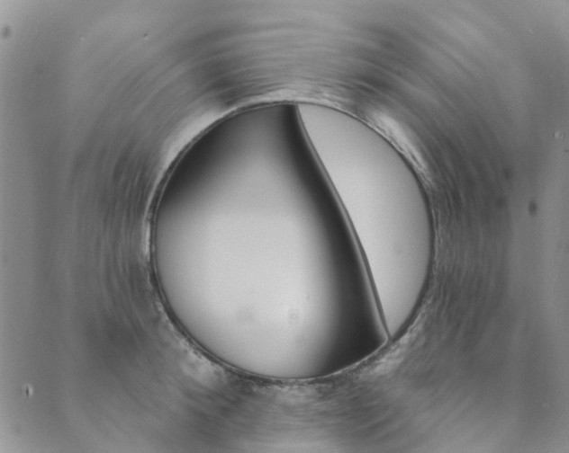 X0000089700900200706211315