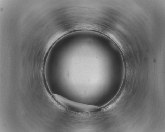 X0000089700901200706211315