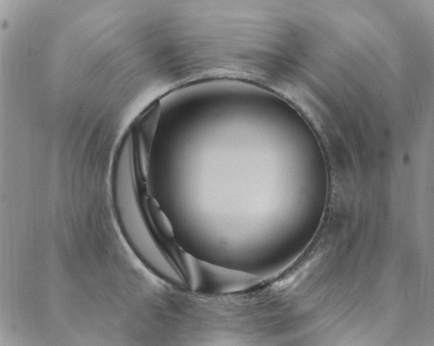 X0000089700902200706211315