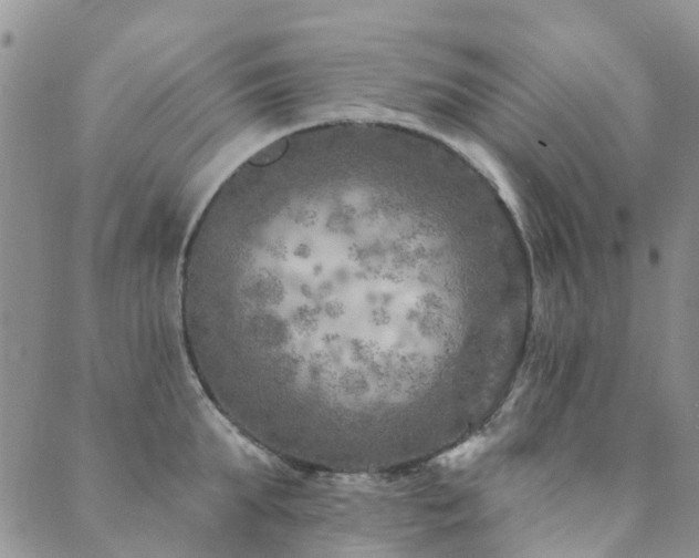 X0000089700903200706211315