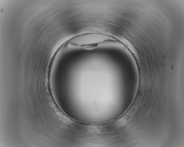 X0000089700904200706211315