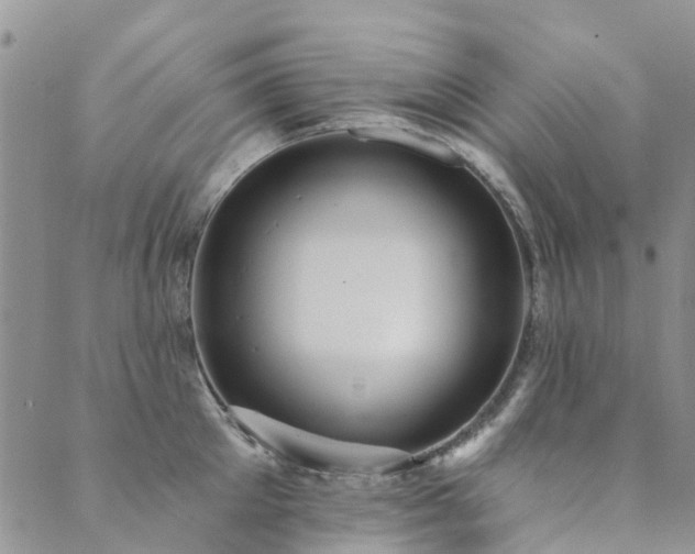 X0000089700905200706211315