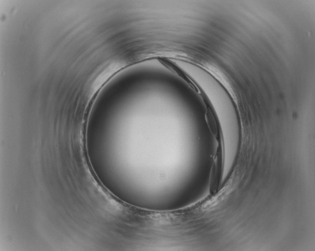 X0000089700906200706211315