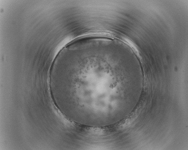 X0000089700907200706211315