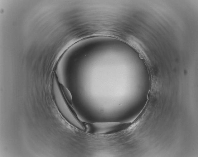 X0000089700908200706211315