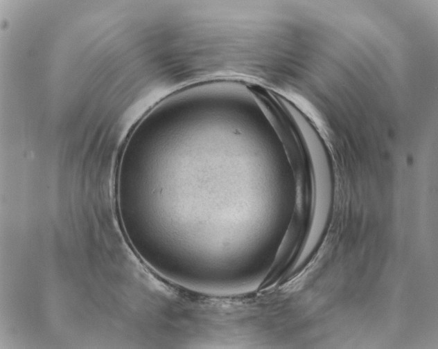 X0000089700910200706211315