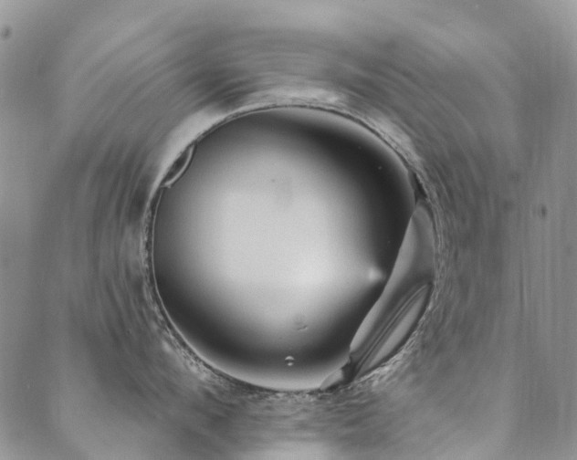 X0000089700912200706211315