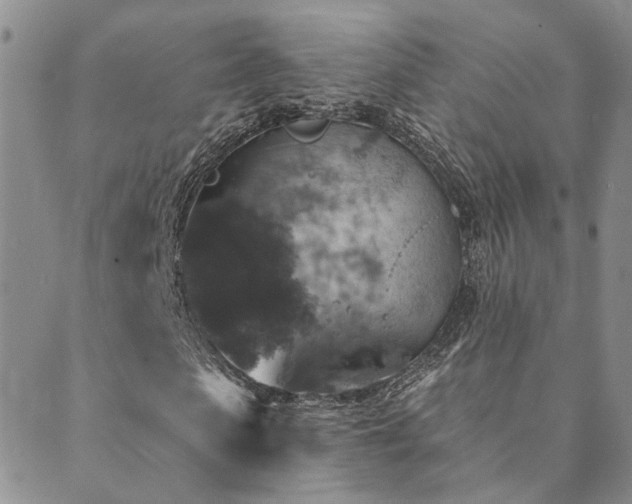 X0000089700913200706211314