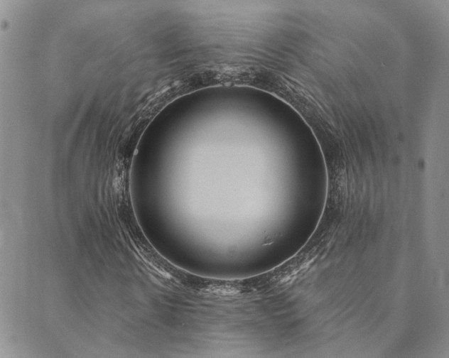 X0000089700914200706211314