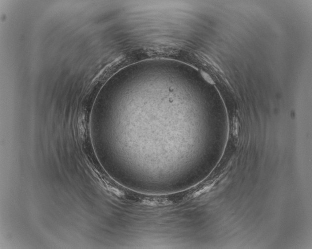 X0000089700915200706211314