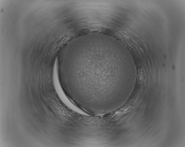 X0000089700916200706211314