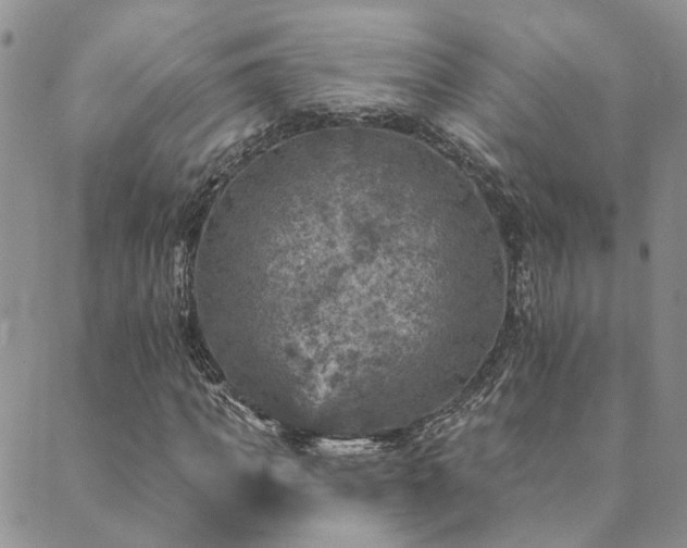 X0000089700917200706211314