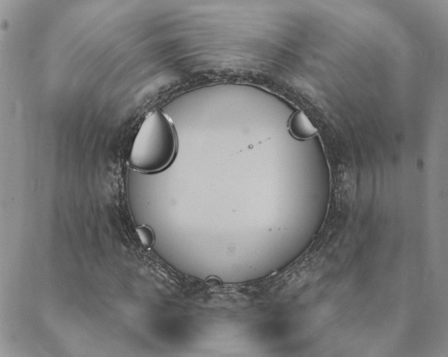 X0000089700918200706211314