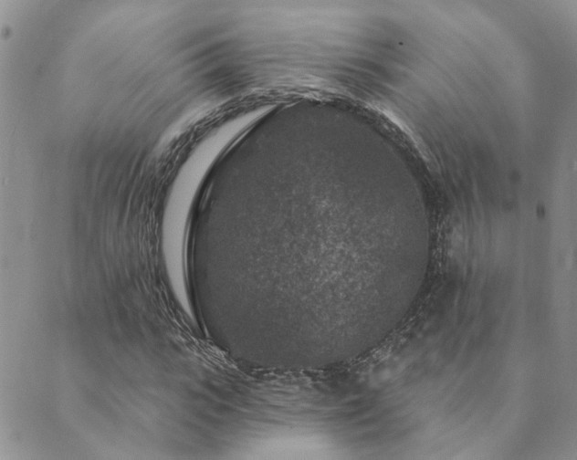 X0000089700919200706211314