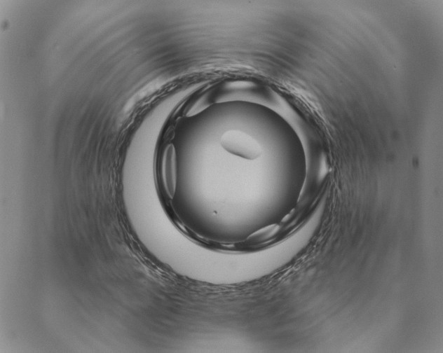 X0000089700920200706211314