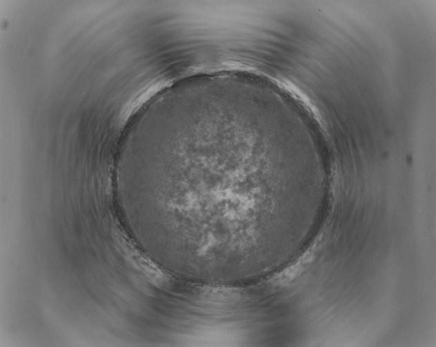 X0000089700921200706211314