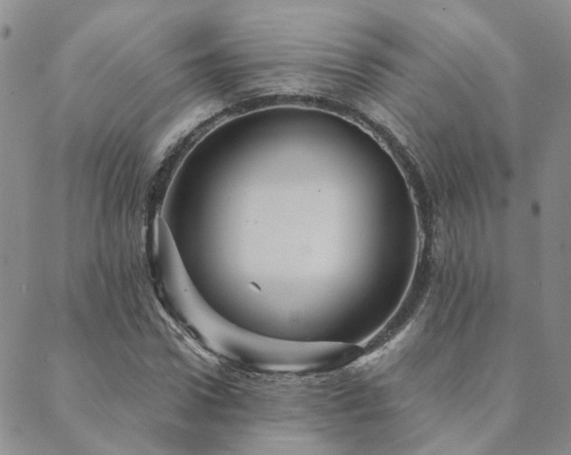 X0000089700922200706211314