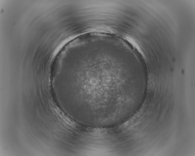 X0000089700923200706211314