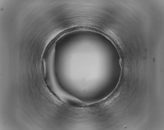 X0000089700924200706211314