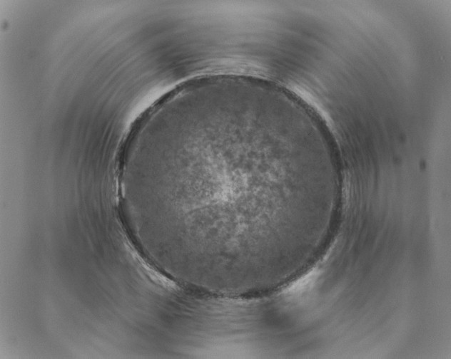 X0000089700925200706211314