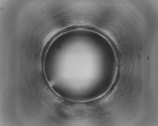 X0000089700927200706211314