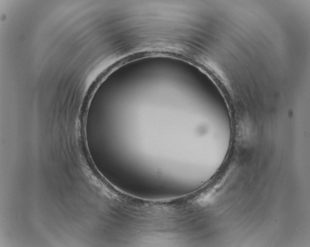 X0000089700928200706211314