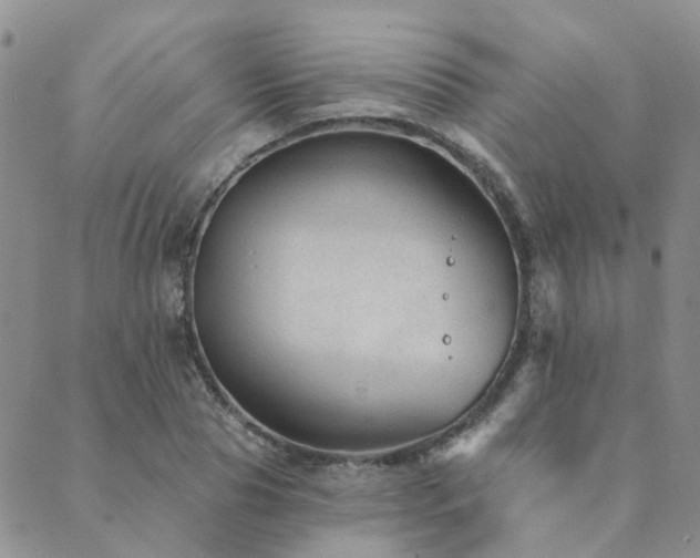 X0000089700929200706211314