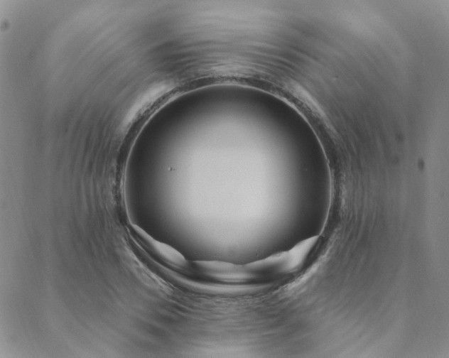 X0000089700930200706211314