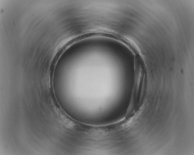 X0000089700931200706211314