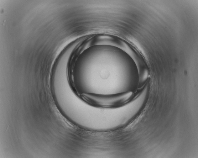 X0000089700932200706211314