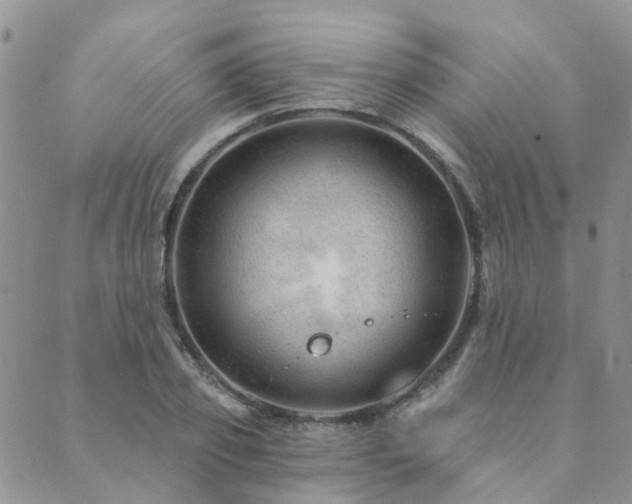 X0000089700933200706211314