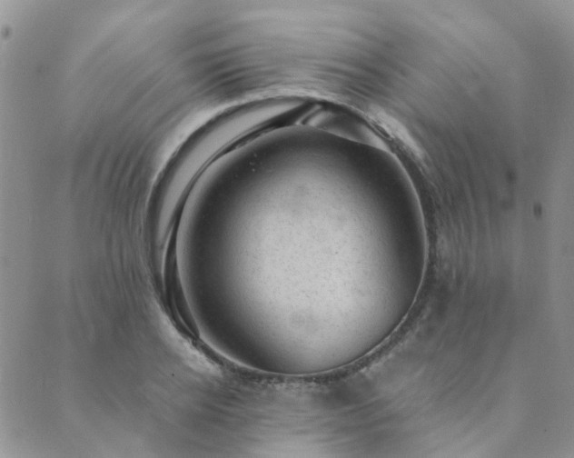 X0000089700934200706211314