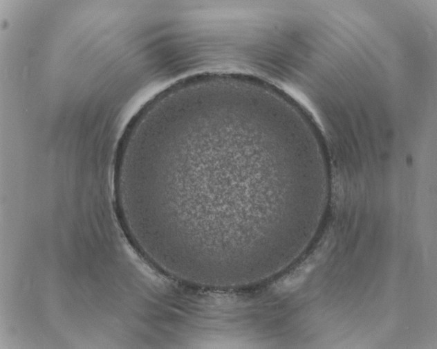 X0000089700935200706211314