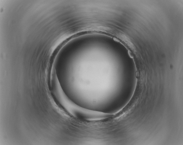 X0000089700936200706211314