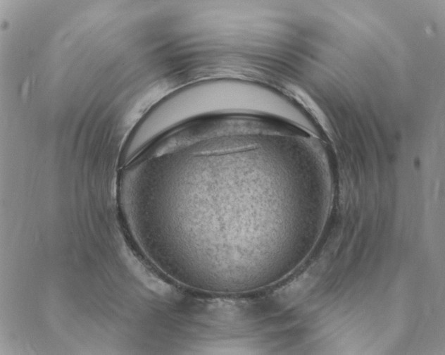 X0000089700938200706211314