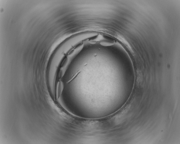 X0000089700939200706211314