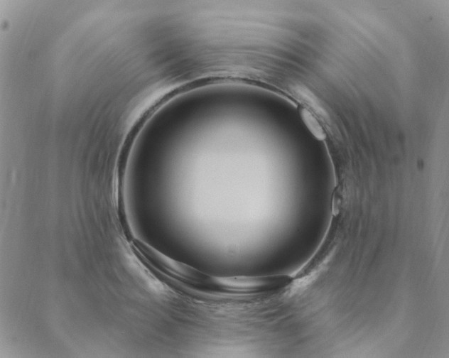 X0000089700940200706211314