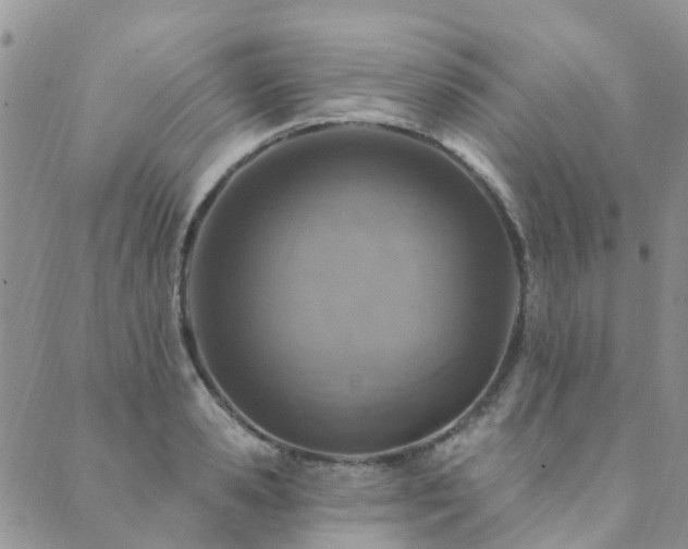 X0000089700941200706211314