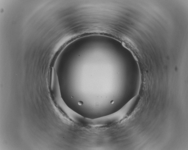 X0000089700942200706211314